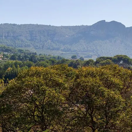 Somptueux Avec Jardin Cassis