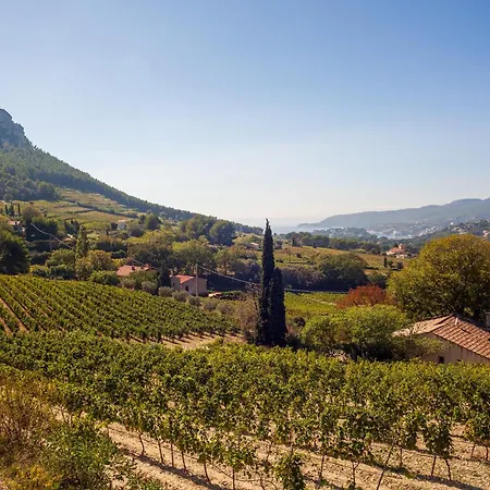 Apartamento Somptueux Avec Jardin